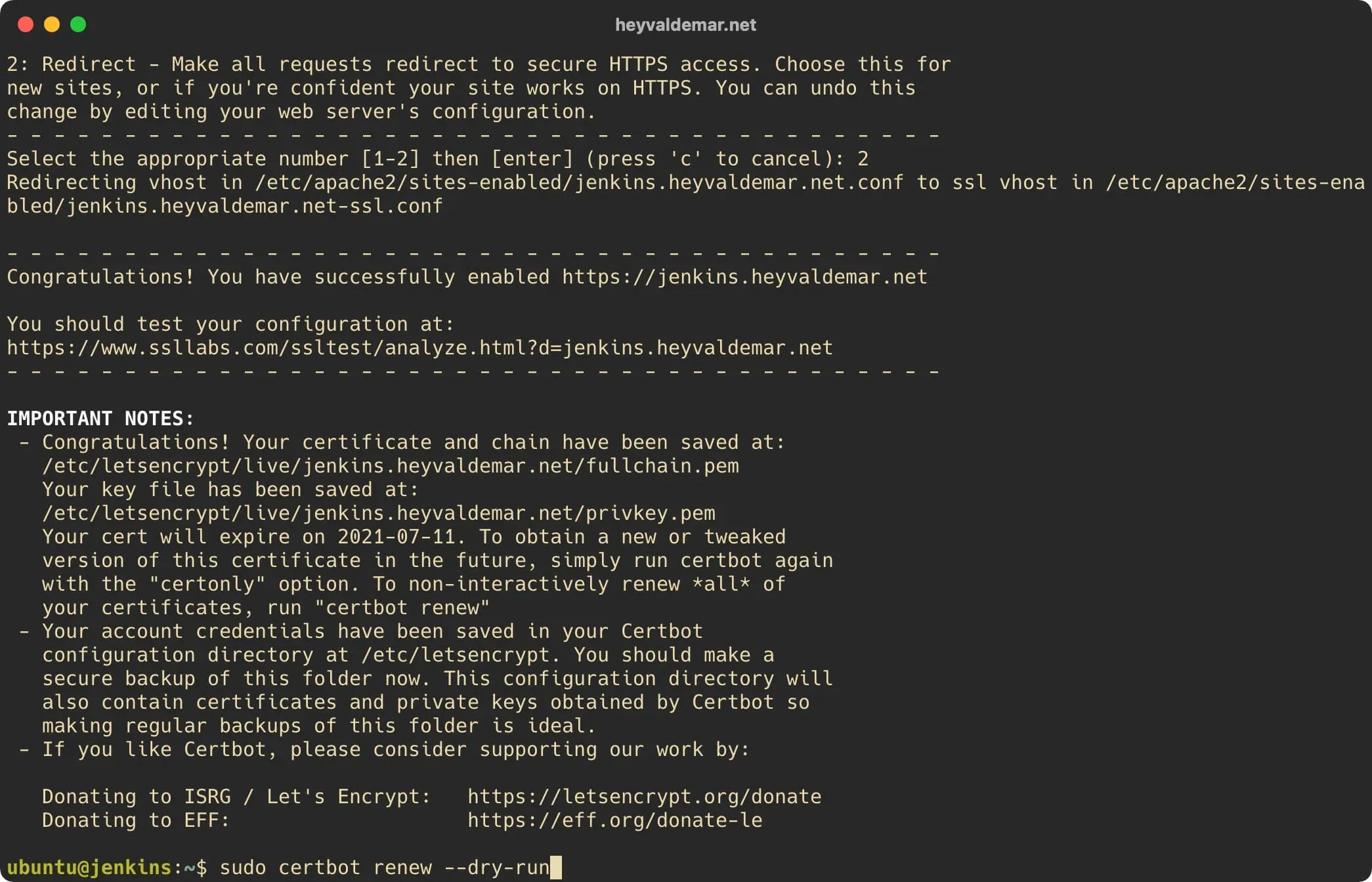 Install Jenkins on Ubuntu Server - Step 29