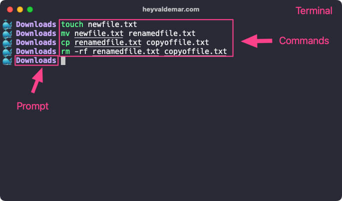 Distinctions Between Terminal, Command Line, Shell, and Prompt