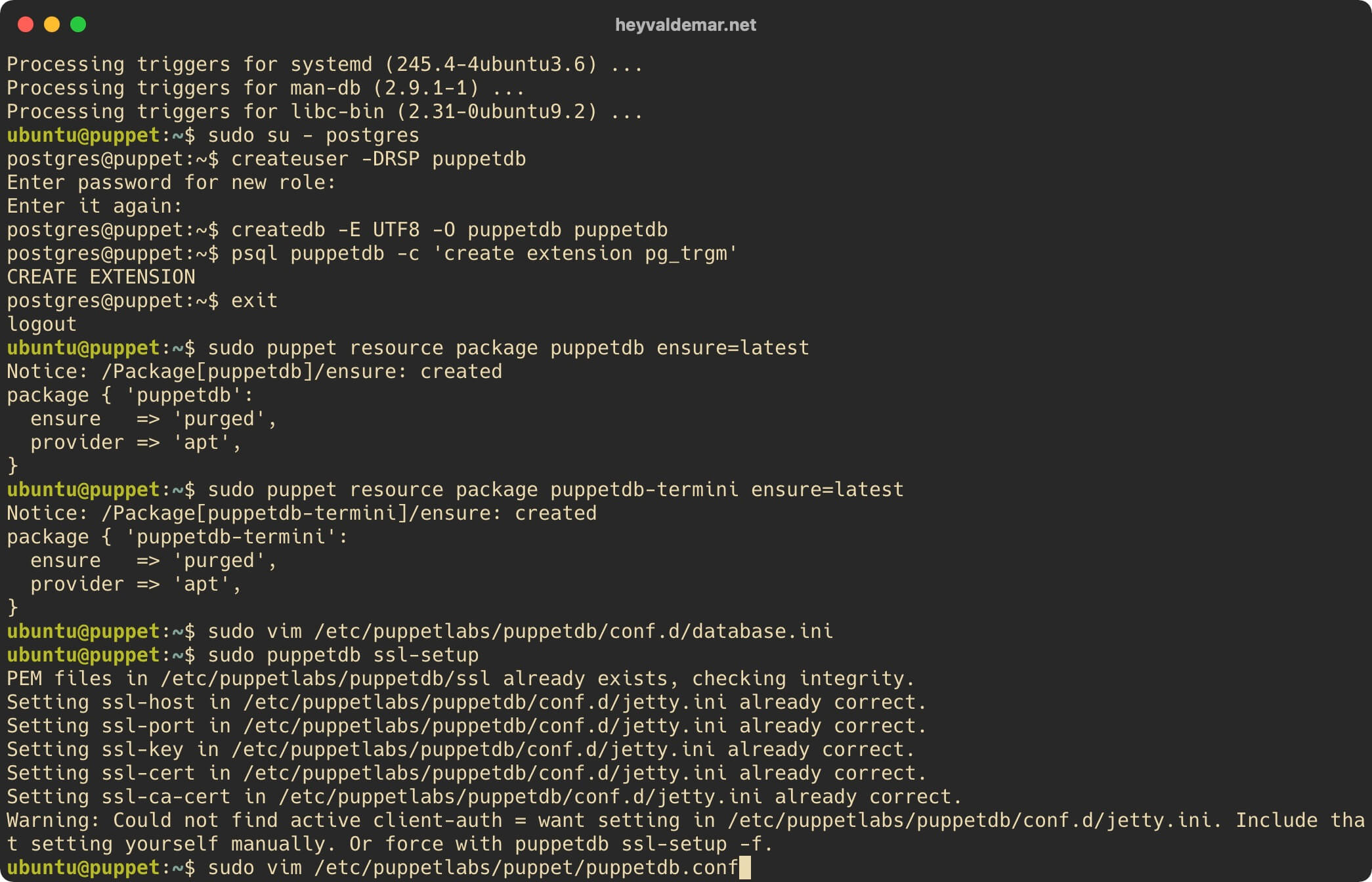 Install PuppetDB on Ubuntu Server