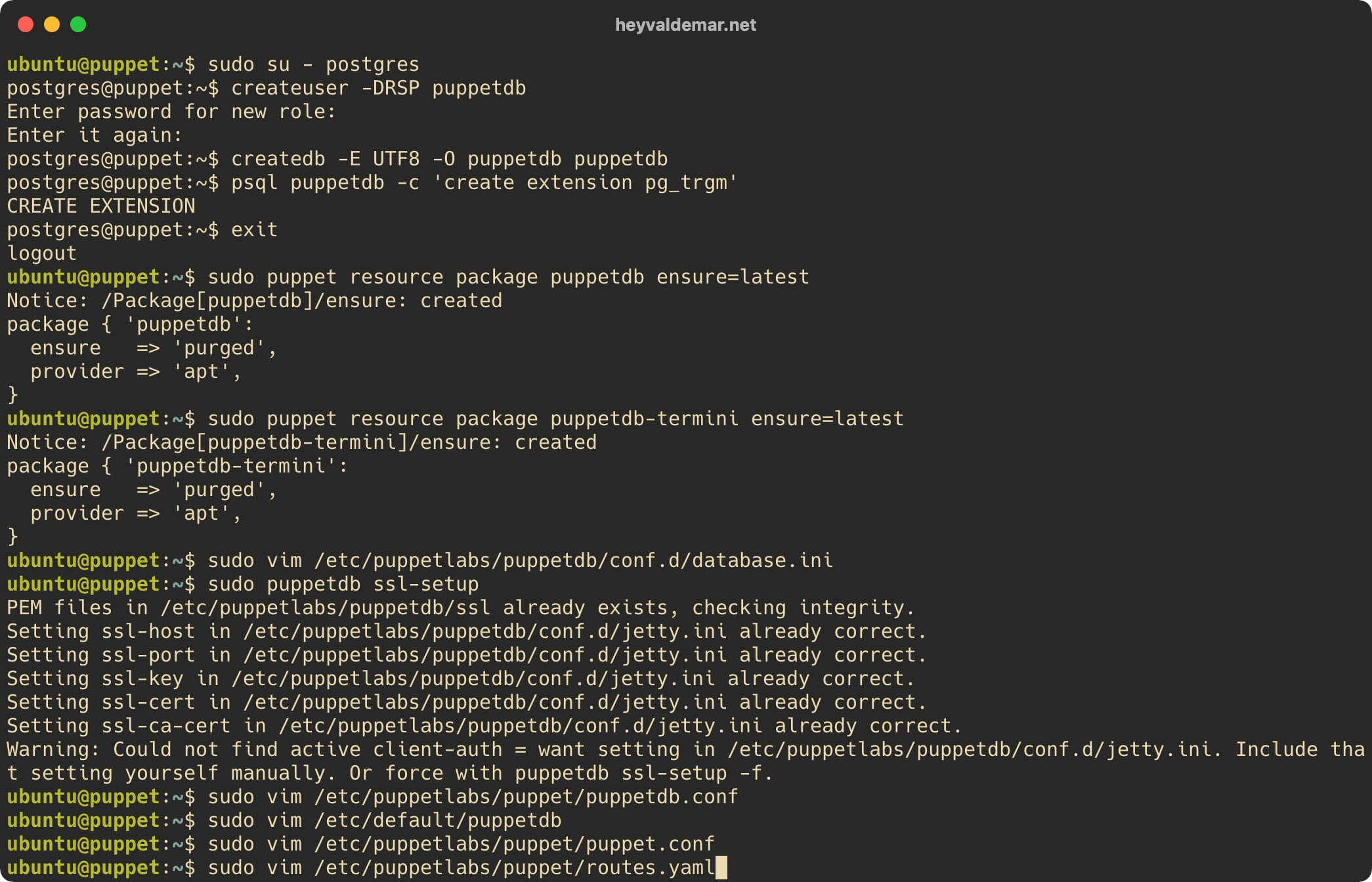 Install PuppetDB on Ubuntu Server