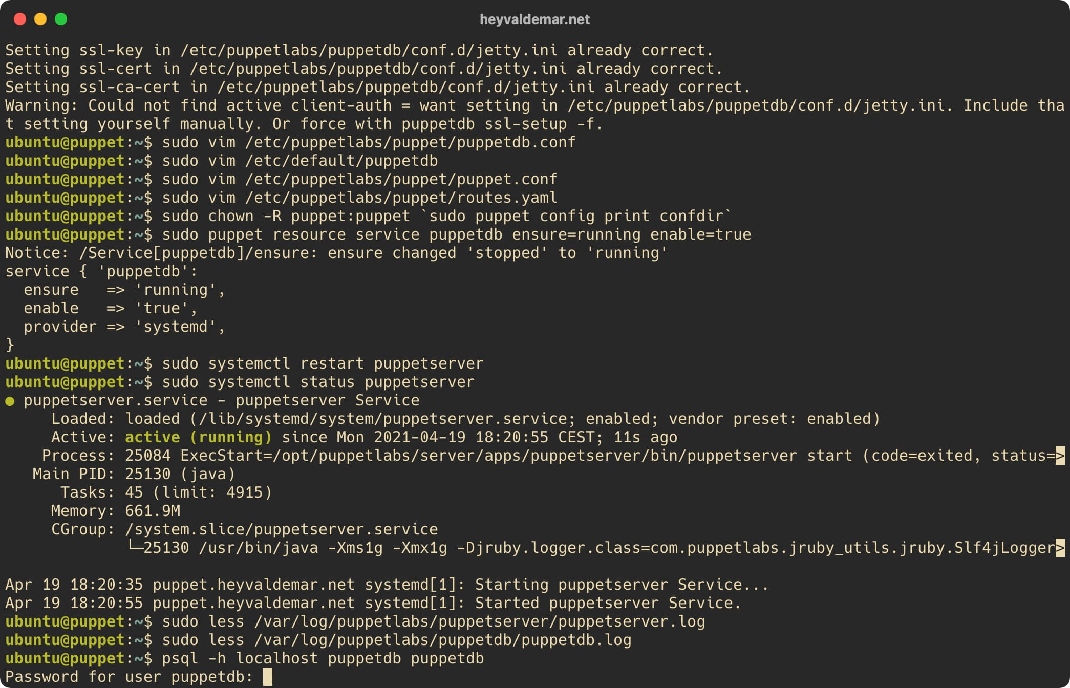 Install PuppetDB on Ubuntu Server