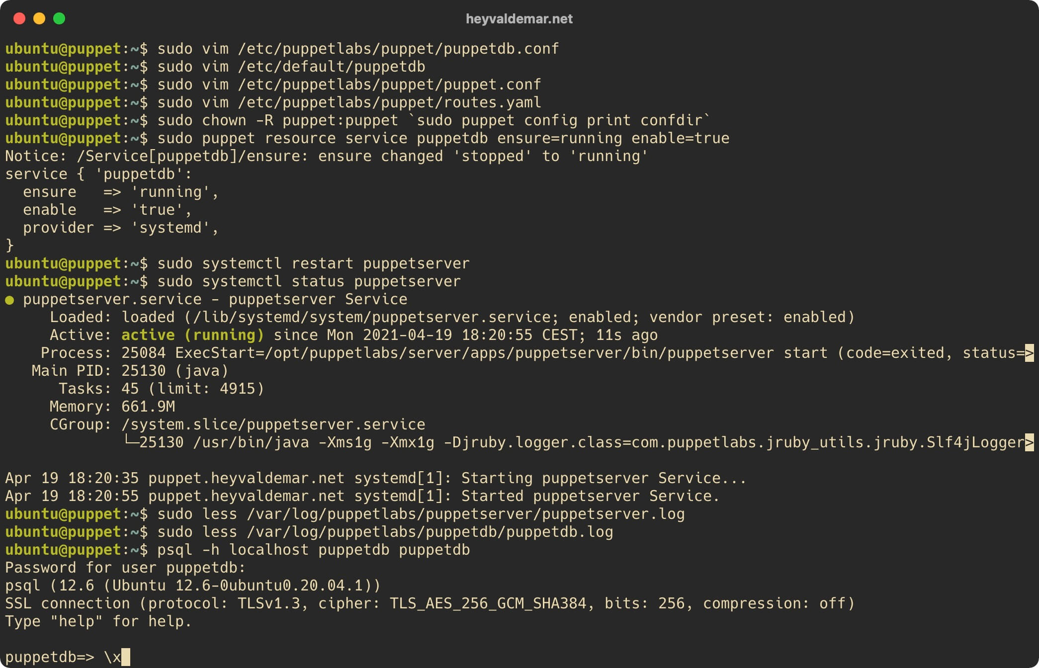Install PuppetDB on Ubuntu Server